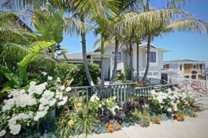 Paseo De La Playa homes