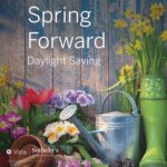 Spring Forward - Daylight Savings